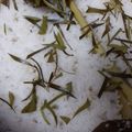 Cooksnap dari Diana Asri Wijayanti untuk resep Nasi Gurih Daun Jeruk Simple ala Indy