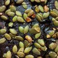 Henkin Yang 的 香蕉可可磅蛋糕 cooksnap