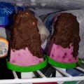 El cooksnap de Sandra cuando hizo Helado de yogurt y frutos rojos en Monsieur Cuisine.