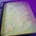 El cooksnap de Cocinerauruguaya cuando hizo Faina de zapallitos .