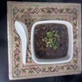 Anjali Sakariya 's cooksnap of when they made મનચાઉ સૂપ (Manchow soup recipe in gujarati).