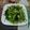 潘俊霖的(簡單料理) 的 空心菜炒辣 cooksnap