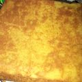 Cooksnap dari irma yana untuk resep Bolu singkong/ castella cake