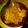 El cooksnap de andrea Sanchez cuando hizo Guiso de arroz con pollo🍗.