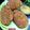 Kinkini Biswas's cooksnap of when they made মিষ্টি কুমড়োর কাটলেট। (mishti kumror cutlet recipe in Bengali).