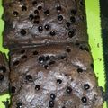 Cooksnap dari Dina Oktavianti untuk resep Brownie Fudgy, shiny and chewy