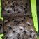 Cooksnap dari Dina Oktavianti untuk resep Brownie Fudgy, shiny and chewy