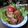 Cooksnap dari Happy Endahsa (Happy End) untuk resep Bacem Tempe Tahu