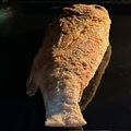 El cooksnap de Naishan23 cuando hizo Rico pescado frito 🤤.