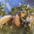 El cooksnap de Marisa cuando hizo Mejillones a la provenzal de mamá Teresa.