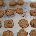 Cooksnap dari @Zoothera #DapurBubuwAnies untuk resep Oatmeal Cookies Sehat JTT (no mixer, terigu, butter)
