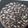 Cooksnap dari SABINA ABDUL RACHMAN untuk resep Brownies putih telur milo panggang