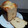 El cooksnap de Laura AO cuando hizo Brioche de queso con arándanos en panificadora.