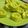 Cooksnap dari Lia Dinda untuk resep Kue Putu Ayu Keju ala Keto