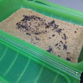 El cooksnap de Laura AO cuando hizo Mug cake saludable: bizcocho rápido al microondas.