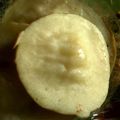 Cooksnap dari Zee zee untuk resep SERABI KUAH