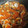 El cooksnap de Ángel cuando hizo Almejas picantonas con tomate frito IBSA.