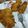 Cooksnap dari Ivone untuk resep Chicken Katsu