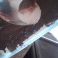 صورة من رهف، شاركها بعد تجربة وصفة تحلية الطبقات ب 3 اذواق بالسميد 🍋🍌🍫(كيكة باردة)