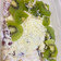 Cooksnap dari Vitha Variza untuk resep Salad buah creamy tidak mudah berair cocok u jualan