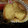 El cooksnap de belsaicam7 cuando hizo Tortillitas de bacalao.