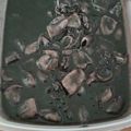 El cooksnap de camino reyero merino cuando hizo Calamares en su tinta 🦑.