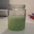 Cooksnap dari Rofi Fauziah untuk resep Puding Lumut Pandan Cokelat