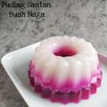 Cooksnap dari Aziza Rahmi untuk resep Pudding Santan Buah Naga