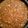 El cooksnap de tutty-frutty cuando hizo Salsa boloñesa.