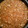 El cooksnap de tutty-frutty cuando hizo Salsa boloñesa.