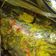 Cooksnap dari Raihaaaaaa untuk resep Pepes Ikan Kembung Kemangi