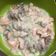 Cooksnap dari martha meilita untuk resep Macaroni Bellamy's pasta Creamy Salmon MPASI 1 th