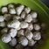Cooksnap dari Juwita Agustina untuk resep Bakso ayam (DEBM)