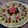 El cooksnap de Veronica Gonzalez cuando hizo Tartaleta de Frutas.