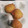 El cooksnap de Kis Nose cuando hizo Buñuelos de bacalao Versión 2.0.