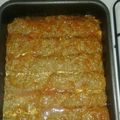کوک اسنپ بانو💚💛💜 بعد از امتحان کردن کباب تابه ای خوشمزه.