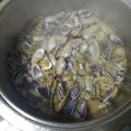 El cooksnap de Salvador Moreno cuando hizo Coquinas o tellinas con ajo, perejil y vino.