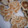 El cooksnap de Grass cuando hizo Galletas de leche condensada sin horno.