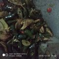 Cooksnap dari Lika Rainerr Pamela untuk resep Oseng Ikan Asin Pedo