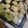Cooksnap dari Gibz kitchen untuk resep Siomay Keriting Ayam Ikan