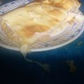 El cooksnap de FEDERICO cuando hizo Torta de jamón y queso rápida y sencilla.