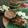 Cooksnap dari Yayuk Jumell untuk resep Sate Jamur Tiram + bumbu kacang