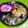 Hetal Chirag Buch's cooksnap of when they made મલ્ટી કલર વેજ. પુલાવ (Multi Color Veg. Pulao Recipe In Gujarati).