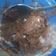 Cooksnap dari Inda Sari untuk resep Brownies Lumer+Lembut banget