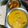 Sonali Banerjee's cooksnap of when they made মুগডাল মাছের মাথা দিয়ে (moogdal maacher matha diye recipe in Bengali).