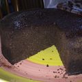 El cooksnap de Danito Aguirre cuando hizo Bizcochuelo en 10'con harina de soja y algarroba y sin azúcar😋.