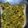 Roopesh Kumar's cooksnap of when they made Spinach Capsicum cheese Sandwich (brown bread) (jain/regular).