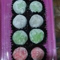 Cooksnap dari Ratna untuk resep Mochi Isi kacang cokelat