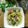 Cooksnap của Le Ngoc khi họ làm theo món Trời mưa lạnh ! 1 tô nui thập cẩm ấm lòng ngày mưa phải không cả nhà