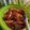 Cooksnap dari Cookie_87 untuk resep Daging Balado